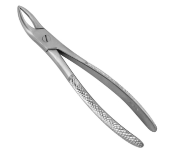 586 English Pattern Extraction Forceps