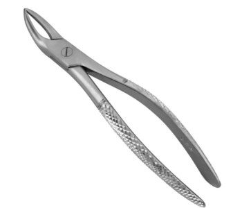 588 English Pattern Extraction Forceps