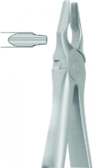 P-1