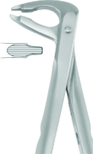 P-2