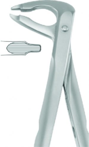 P-4