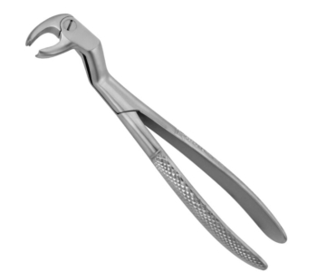 22 1/2L English Pattern Extraction Forceps