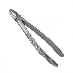 29N English Pattern Extraction Forceps