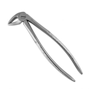 33 English Pattern Extraction Forceps