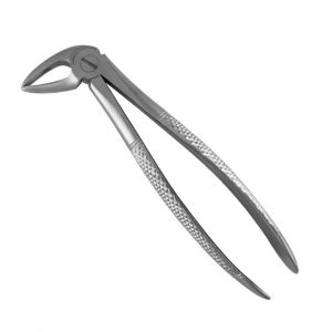 33M English Pattern Extraction Forceps