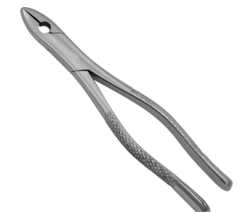 1 Extraction Forceps